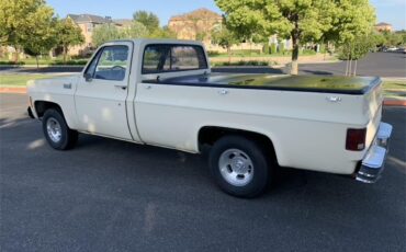 Chevrolet-C10-1978-Tan-Brown-2