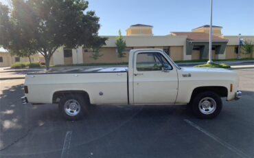 Chevrolet-C10-1978-Tan-Brown-3