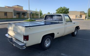 Chevrolet-C10-1978-Tan-Brown-4