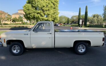Chevrolet-C10-1978-Tan-Brown-6