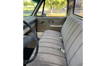Chevrolet-C10-1978-Tan-Brown-7
