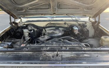 Chevrolet-C10-1978-Tan-Brown-8