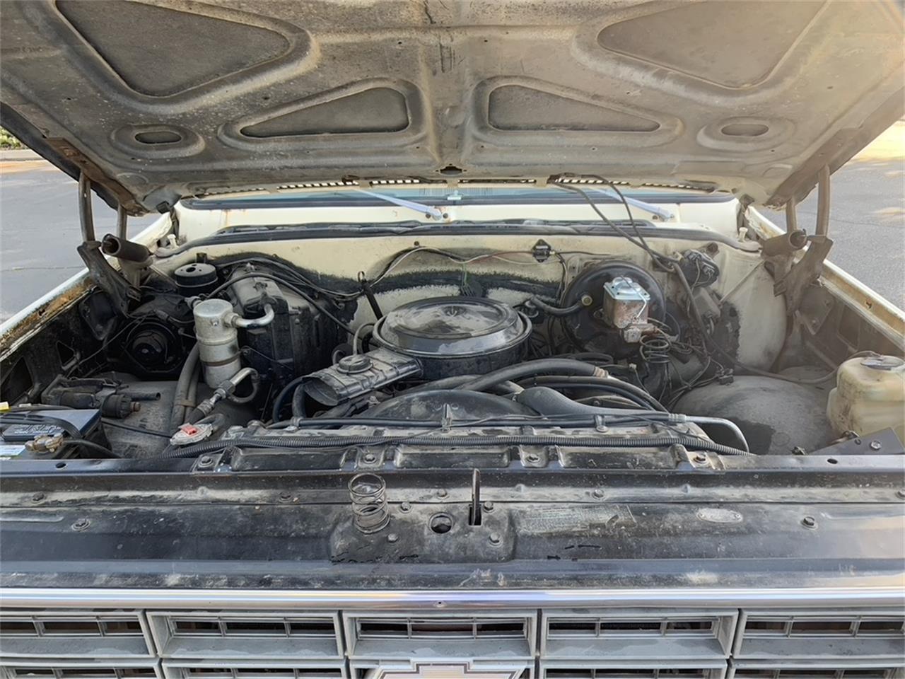 Chevrolet-C10-1978-Tan-Brown-8