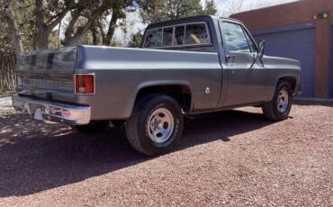 Chevrolet-C10-1978-grey-red-10