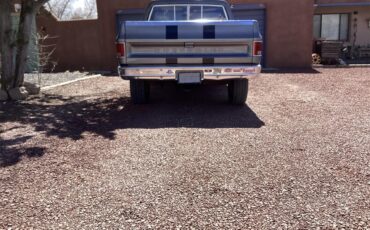 Chevrolet-C10-1978-grey-red-15