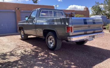 Chevrolet-C10-1978-grey-red-16