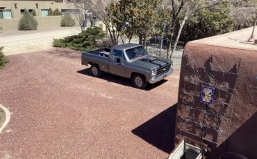Chevrolet-C10-1978-grey-red-17