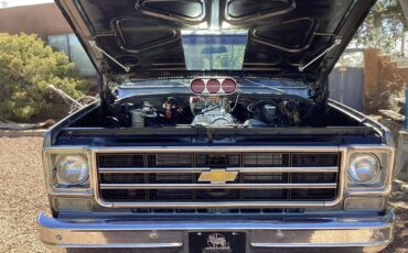 Chevrolet-C10-1978-grey-red-18