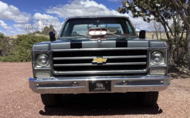 Chevrolet-C10-1978-grey-red-2