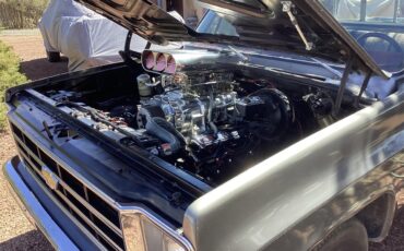 Chevrolet-C10-1978-grey-red-21