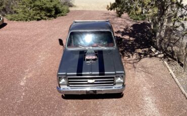 Chevrolet-C10-1978-grey-red-3