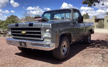 Chevrolet-C10-1978-grey-red