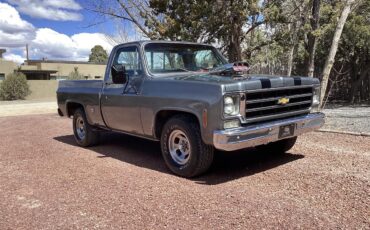 Chevrolet-C10-1978-grey-red-8