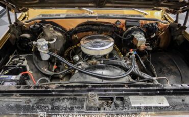 Chevrolet-C10-1979-Canyon-Beige-Camel-1