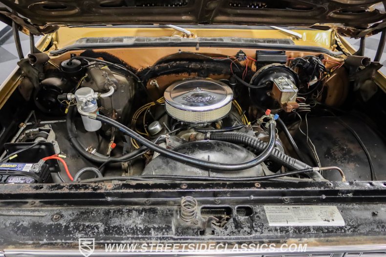 Chevrolet-C10-1979-Canyon-Beige-Camel-1