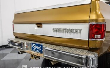 Chevrolet-C10-1979-Canyon-Beige-Camel-10