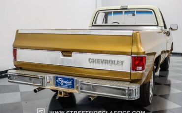 Chevrolet-C10-1979-Canyon-Beige-Camel-13