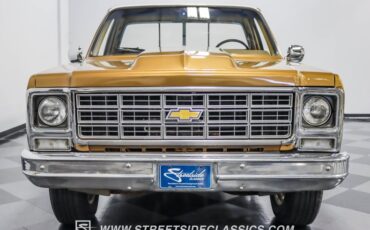 Chevrolet-C10-1979-Canyon-Beige-Camel-17