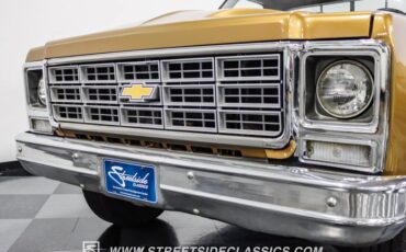 Chevrolet-C10-1979-Canyon-Beige-Camel-19
