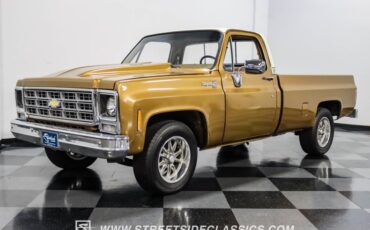 Chevrolet-C10-1979-Canyon-Beige-Camel-2