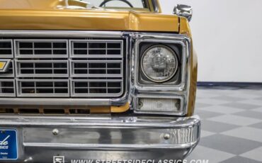 Chevrolet-C10-1979-Canyon-Beige-Camel-20