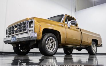 Chevrolet-C10-1979-Canyon-Beige-Camel-21