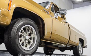 Chevrolet-C10-1979-Canyon-Beige-Camel-22