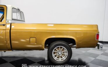 Chevrolet-C10-1979-Canyon-Beige-Camel-23