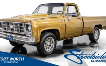 Chevrolet-C10-1979-Canyon-Beige-Camel-24