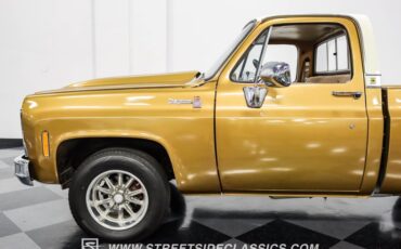 Chevrolet-C10-1979-Canyon-Beige-Camel-25
