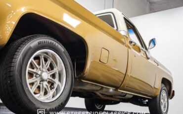 Chevrolet-C10-1979-Canyon-Beige-Camel-28