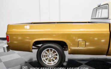 Chevrolet-C10-1979-Canyon-Beige-Camel-29