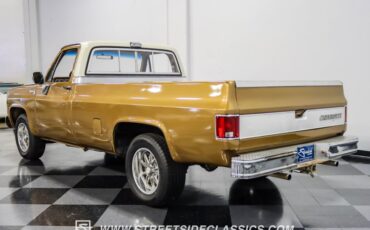 Chevrolet-C10-1979-Canyon-Beige-Camel-5