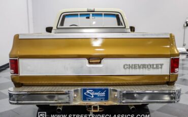 Chevrolet-C10-1979-Canyon-Beige-Camel-7