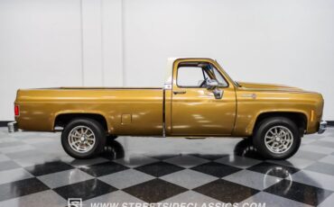 Chevrolet-C10-1979-Canyon-Beige-Camel-9