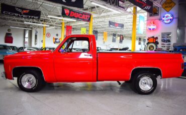 Chevrolet-C10-1979-Other-19