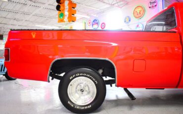 Chevrolet-C10-1979-Other-7