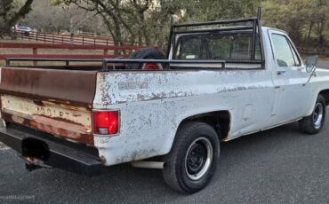Chevrolet-C10-1979-White-2