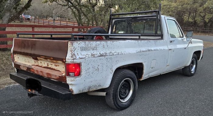 Chevrolet-C10-1979-White-2
