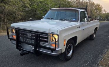 Chevrolet-C10-1979-White