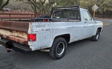 Chevrolet-C10-1979-White-4