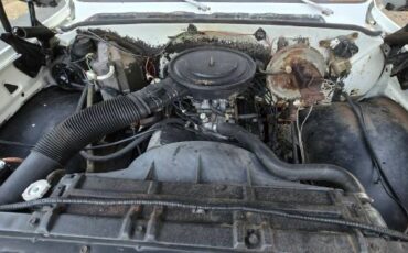 Chevrolet-C10-1979-White-6