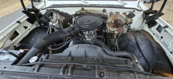 Chevrolet-C10-1979-White-6