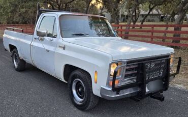 Chevrolet-C10-1979-White-7