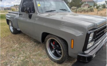 Chevrolet-C10-1980-Gray-Black-11