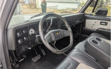 Chevrolet-C10-1980-Gray-Black-14