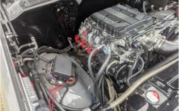 Chevrolet-C10-1980-Gray-Black-16
