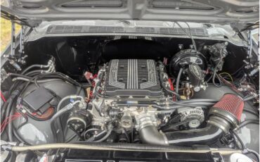 Chevrolet-C10-1980-Gray-Black-17