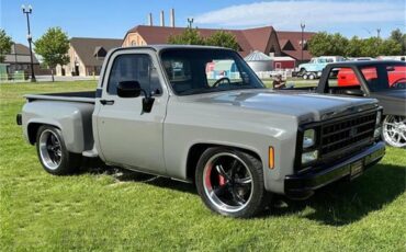 Chevrolet-C10-1980-Gray-Black-24