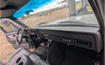 Chevrolet-C10-1980-Gray-Black-27